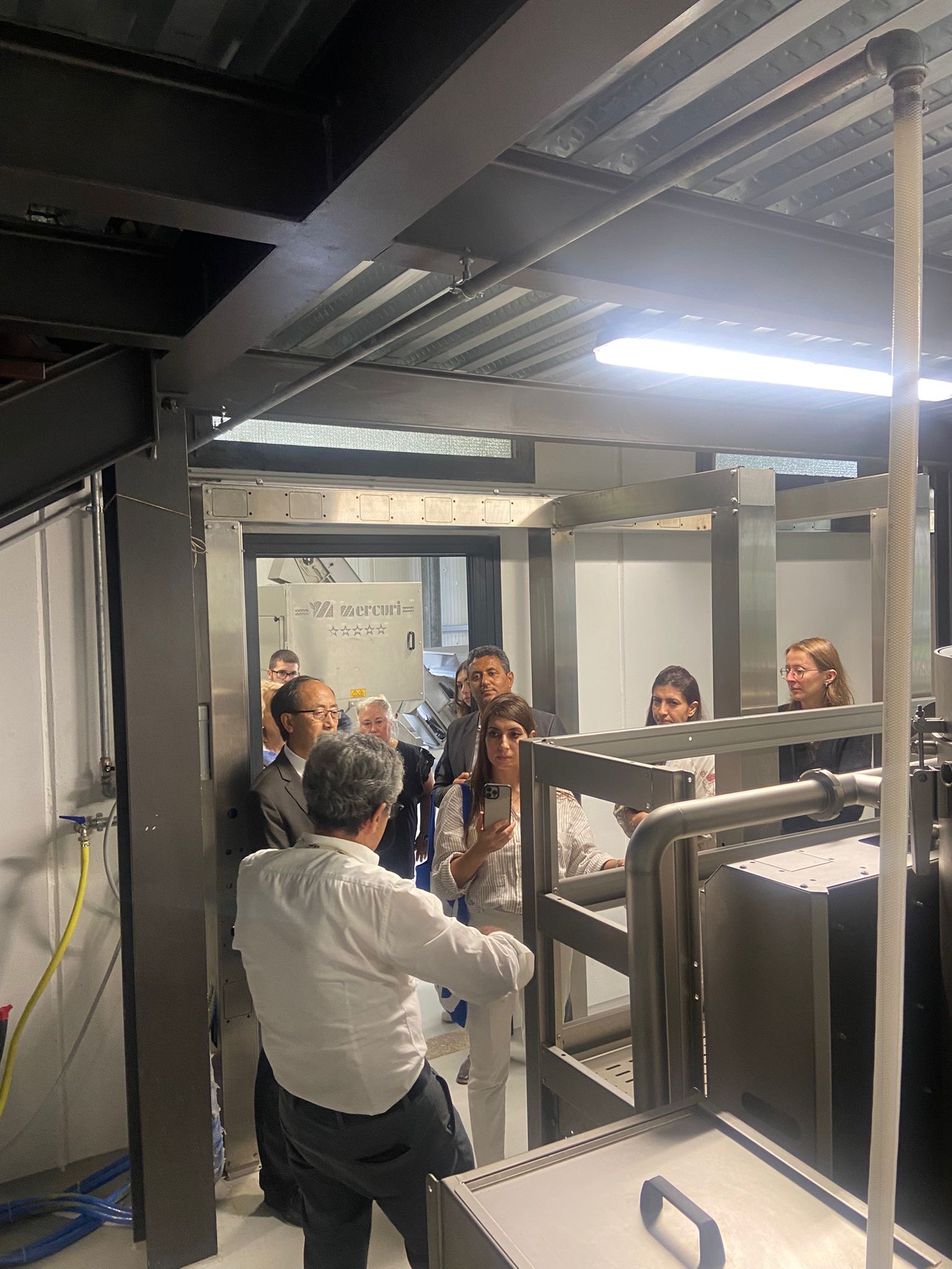 Olive processing equipment
